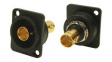 CP303112G Recess Plate, BNC Socket - BNC Plug