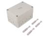 10590901, Enclosure with knock outs grey, RAL 7035 Polystyrene IP 66 N/A TK-PS, Spelsberg