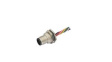 MSAS-17PMMC-SF8B20 M12 Straight Plug Sensor Cable, 17 Poles, A-Coded,