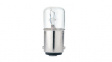 BF15D-T02405K-0 Filament bulb transparent