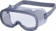 MURIA1VD Eye Protective Goggles Clear EN 166 UV 400