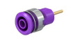 23.3010-26 Laboratory Socket, diam. 4mm, Violet, 24A, 1kV, Gold-Plated