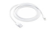 MXLY2ZM/A Charging Cable Apple Lightning/USB A Plug 2m