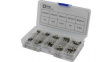 RND 170-00196 Glass Fuse Kit 5 x 20 mm Quick Acting F