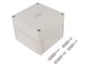 11090501 Enclosure without knock outs grey, RAL 7035 Polystyrene IP 66 N/A TK-PS