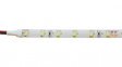 51512222 LED strip amber 12 VDC 5 m
