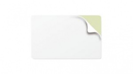 104523-010, Adhesive Back Plastic Card, 500 Cards, PVC, White, Zebra