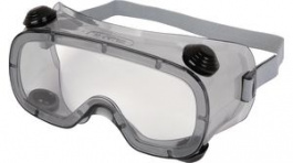 RUIZ1VI, Eye Protective Goggles Clear EN 166/170 UV 400, Delta Plus
