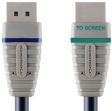BCL2702 DisplayPort - HDMI cable 2 m Blue
