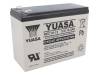 REC10-12, Аккум: свиноцово-кислотный; 12В; 10Ач; AGM; необслуживаемый, Yuasa