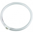 2U 22W TUBE Fluorescent tube 22W