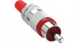 STO 2 rot RCA plug red red