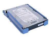 DELL-2000SATA/7-F13, Harddisk SATA 1.5 Gb/s 2000 GB 7200RPM, -