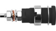 SEB 6446 Ni / SW Laboratory socket diam. 4 mm Black CAT III