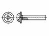 M3X5/BN4825 Винт; с юбкой; M3x5; Головка: сферическая; Шлиц: Phillips; сталь