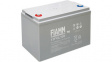 12 FGL55 Lead-Acid Battery, 12 V 55 Ah