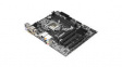 H81M Mainboard