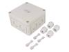 RKK 4/12-12X4? Корпус: соединительная коробка; Х:110мм; Y:110мм; Z:66мм; IP54