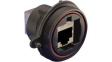 PX0893 Соединитель; Buccaneer Ethernet; PIN:8; Контакты: фосфор-бронза