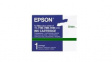 C33S020406 Ink Cartridge, Green Sheets