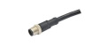 M12A-17BMMM-SL8D02 M12 Straight Plug Sensor Cable, 17 Poles, A-Coded,