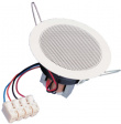 DL 8, 100 V 8 cm (3.3^) ceiling-mounted speaker