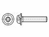 M5X20/BN5128 Винт; с юбкой; M5x20; Головка: сферическая; Шлиц: Torx; сталь; цинк