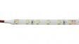 51513233 LED strip 12 VDC 5 m