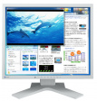 S1923H grey FlexScan High End TFT;5:4;19 ''