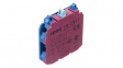 YW-EW11 Double Contact Block Blue / Purple