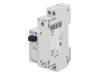 Z-R110/SS, Реле: установочное; моностабильное; DPST-NO; Uобмотки:110ВAC, Eaton