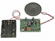 MK174 Electronic Record/Playback Kit
