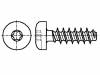 3060237 Винт; 2x6; Головка: цилиндрическая; Torx; сталь; цинк; Размер: TX06