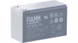 12FGHL34 Lead-Acid Battery, 12 V 9 Ah