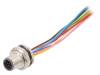 SAL-12-FSH8-0,5, Гнездо; M12; PIN: 8; "папа"; код A-DeviceNet / CANopen; провода, Conec