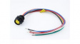 1300130587 Mini-Change A-Size Receptacle 6 Poles 1/2" - 14 NPT Threads Female (Straight) to 16 AWG Leads 1.0m (3.28') Length