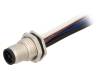M12T-04PMMS-SF8B15, Гнездо; M12; PIN:4; "папа"; код T-Power; 0,15м; провода; IP67; 12А, Amphenol