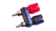 BU-P6883 Binding Post Black, Red