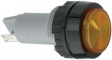 1.61.021.099/0000 Incandescent Indicator