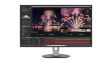 328P6AUBREB/00 Monitor, P-Line, 31.5 " (80 cm), 2560 x 1440, IPS, 16:9
