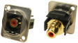 CP30230M XLR Feedthrough RCA Connector 2 FT Cable red