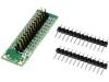 MOD-22.Z, Адаптер; штыревой; Кол-во диод:2; Совместим с: Raspberry PI, MODULOWO/MODULOGY
