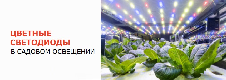 Использование цветных светодиодов в садовом освещении Использование цветных светодиодов в садовом освещении