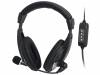 HS0019, Наушники с микрофоном; черный,серебристый; USB; 20?20000Гц; 2,2м, LOGILINK