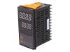 TK4H-14RR, Модуль: регулятор; температура; SPST-NO; SPST-NO; на панель; IP65, AUTONICS