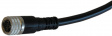 D-SAC50 Cable with M8/3 Plug, 5 M, 5 m