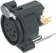 NC5FBV-B-D XLR Panel-mount female receptacle 5Pblack