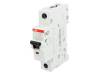 2CDS271001R0165, Выключатель максимального тока; 230ВAC; Iном:16А; Монтаж: DIN, ABB