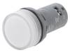 1SFA619403R5078 Индикаторная лампа; 22мм; CL2; -25?70°C; Подсвет: LED; O22мм