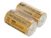 GP14A S2, Батарея: щелочная; 1,5В; C; Кол-во бат:2, GP Batteries